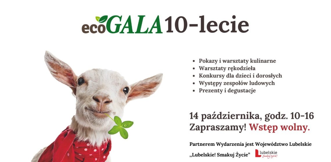 10-lecie Eco Gala